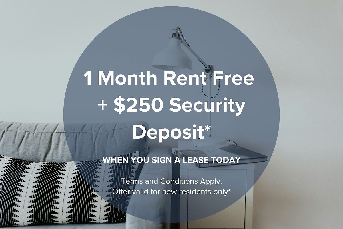 Calgary 1 bedroom Apartment for rent. Property photo: 512789-1