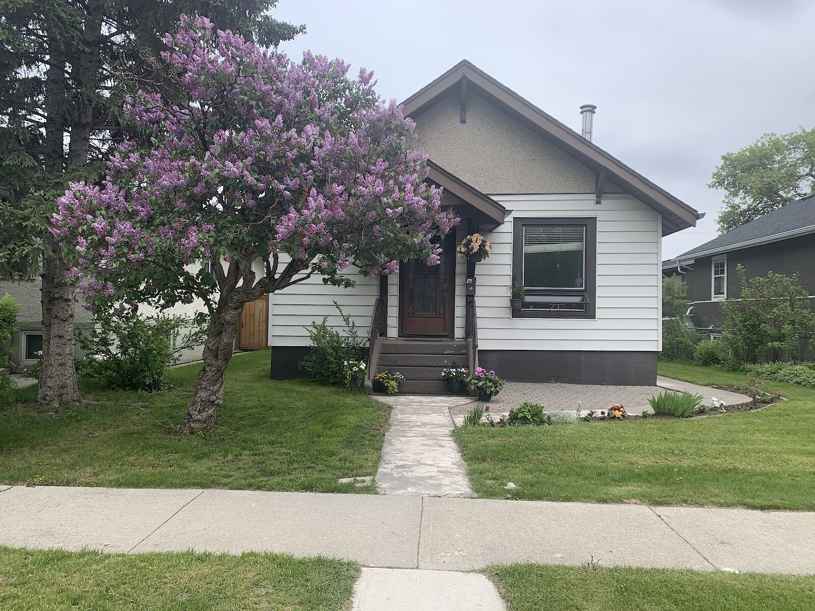 Calgary 1 bedroom Basement for rent. Property photo: 512794-1