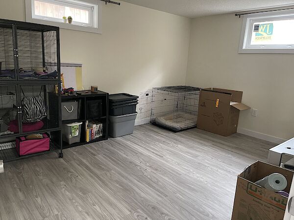 Calgary 2 bedrooms Basement for rent. Property photo: 515915-2