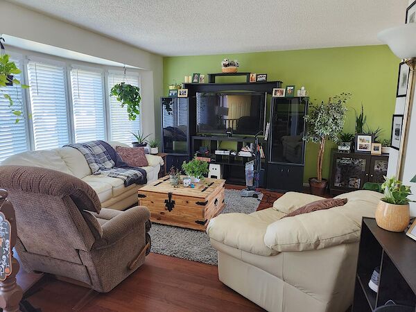 Livingroom+1+-+pic+1 Edmonton 1 bedroom Room For Rent for rent. Property photo: 520967-2