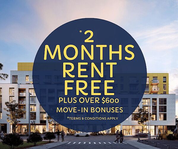 Toronto 2 bedrooms Apartment for rent. Property photo: 529183-2