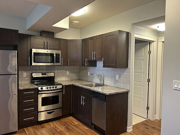 Leduc 1 bedroom Basement for rent. Property photo: 529892-3