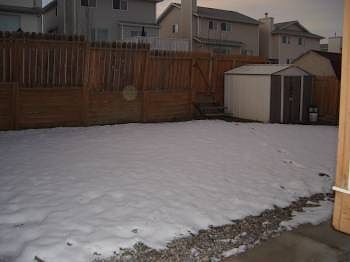 Back+yard Calgary 5 bedrooms House for rent. Property photo: 5321-2