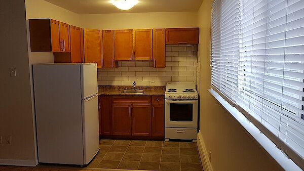 Winnipeg studio Apartment for rent. Property photo: 532345-2