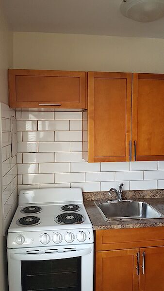Winnipeg studio Apartment for rent. Property photo: 532345-3
