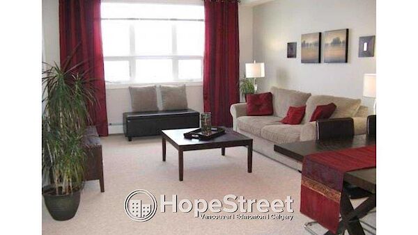 Calgary 1 bedroom Condo Unit for rent. Property photo: 538313-3
