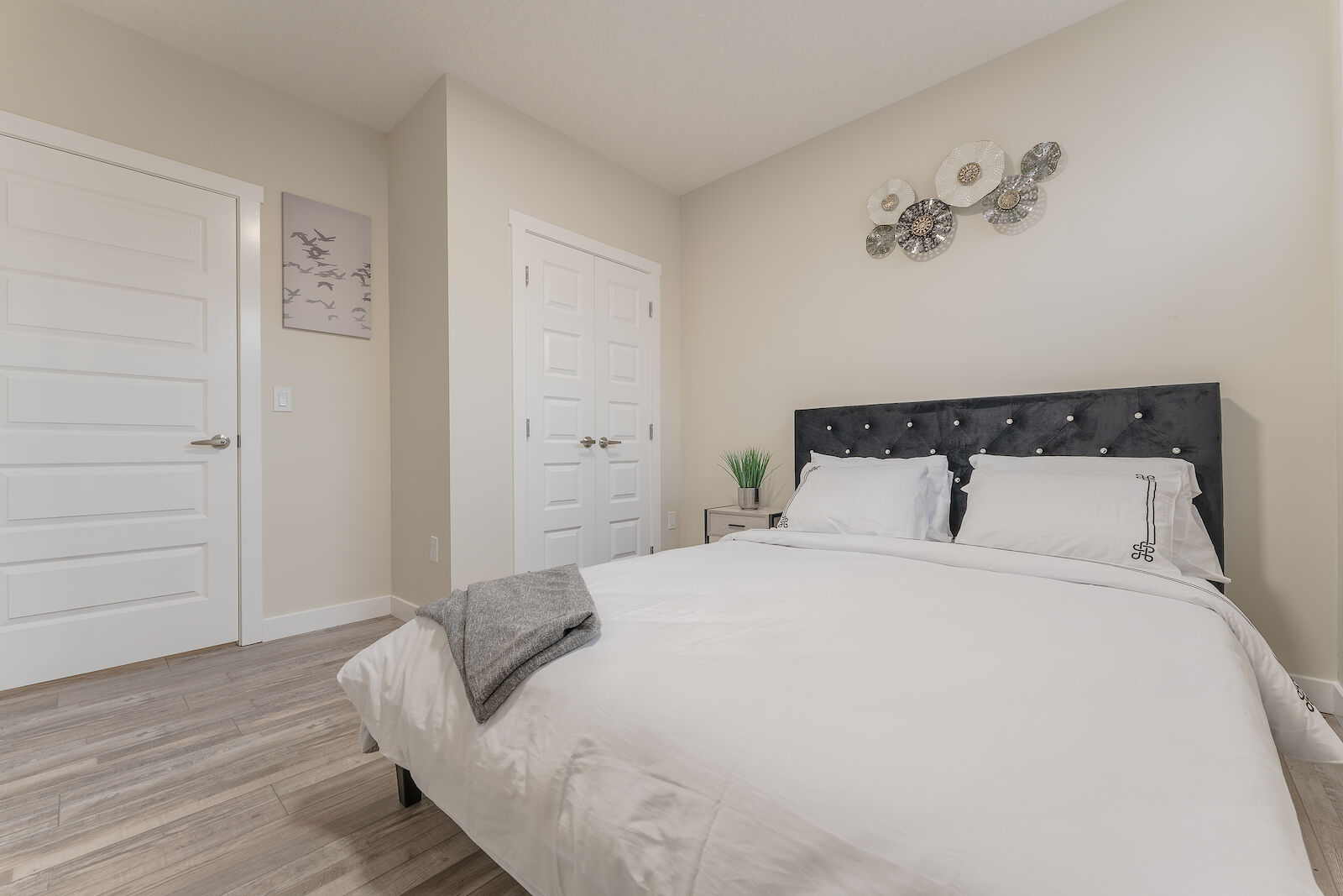 Calgary 1 bedroom Basement for rent. Property photo: 541279-1