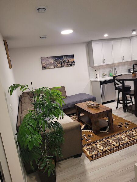 Calgary 2 bedrooms Basement for rent. Property photo: 541395-2