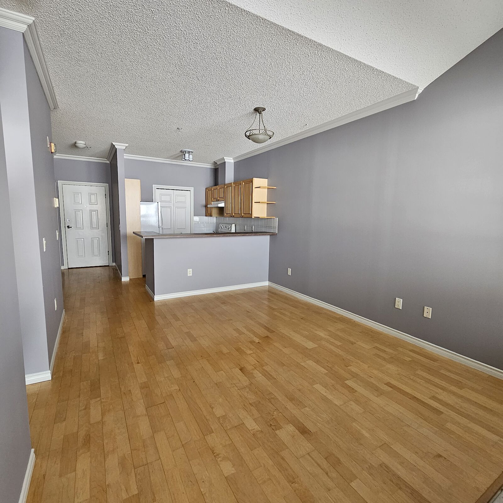 Calgary 1 bedroom Condo Unit for rent. Property photo: 542641-1