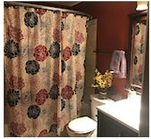 Full+Bathroom Calgary 3 + Den bedrooms House for rent. Property photo: 551546-2