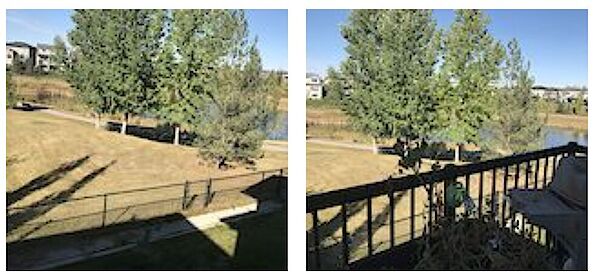 backyard Calgary 3 + Den bedrooms House for rent. Property photo: 551546-3