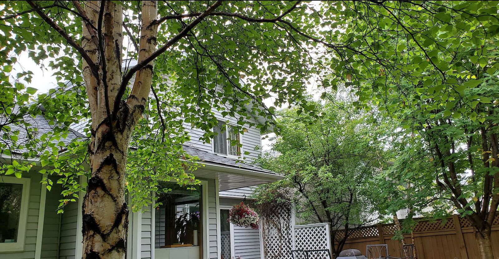 Calgary 4 bedrooms House for rent. Property photo: 554413-1