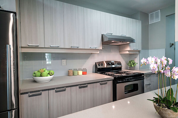 Toronto 2 bedrooms Apartment for rent. Property photo: 557872-2