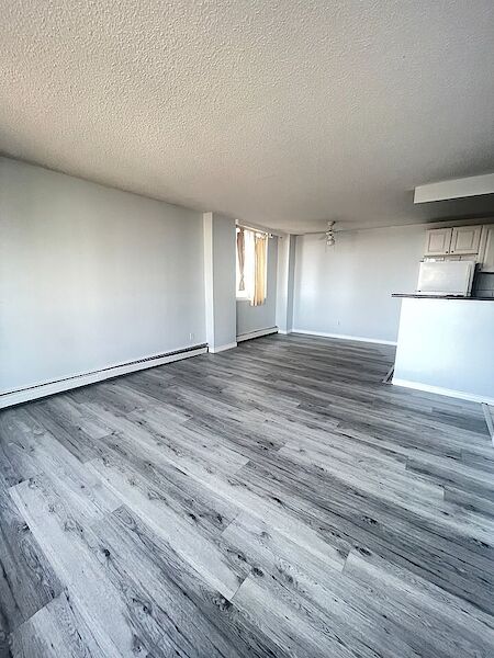 Edmonton 2 bedrooms Condo Unit for rent. Property photo: 560435-3