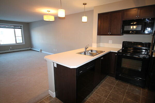 Edmonton 1 bedroom Condo Unit for rent. Property photo: 561024-2