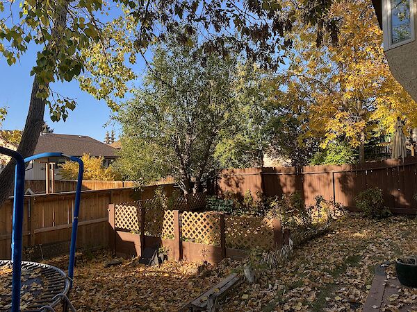 Calgary 1 bedroom Basement for rent. Property photo: 563521-2