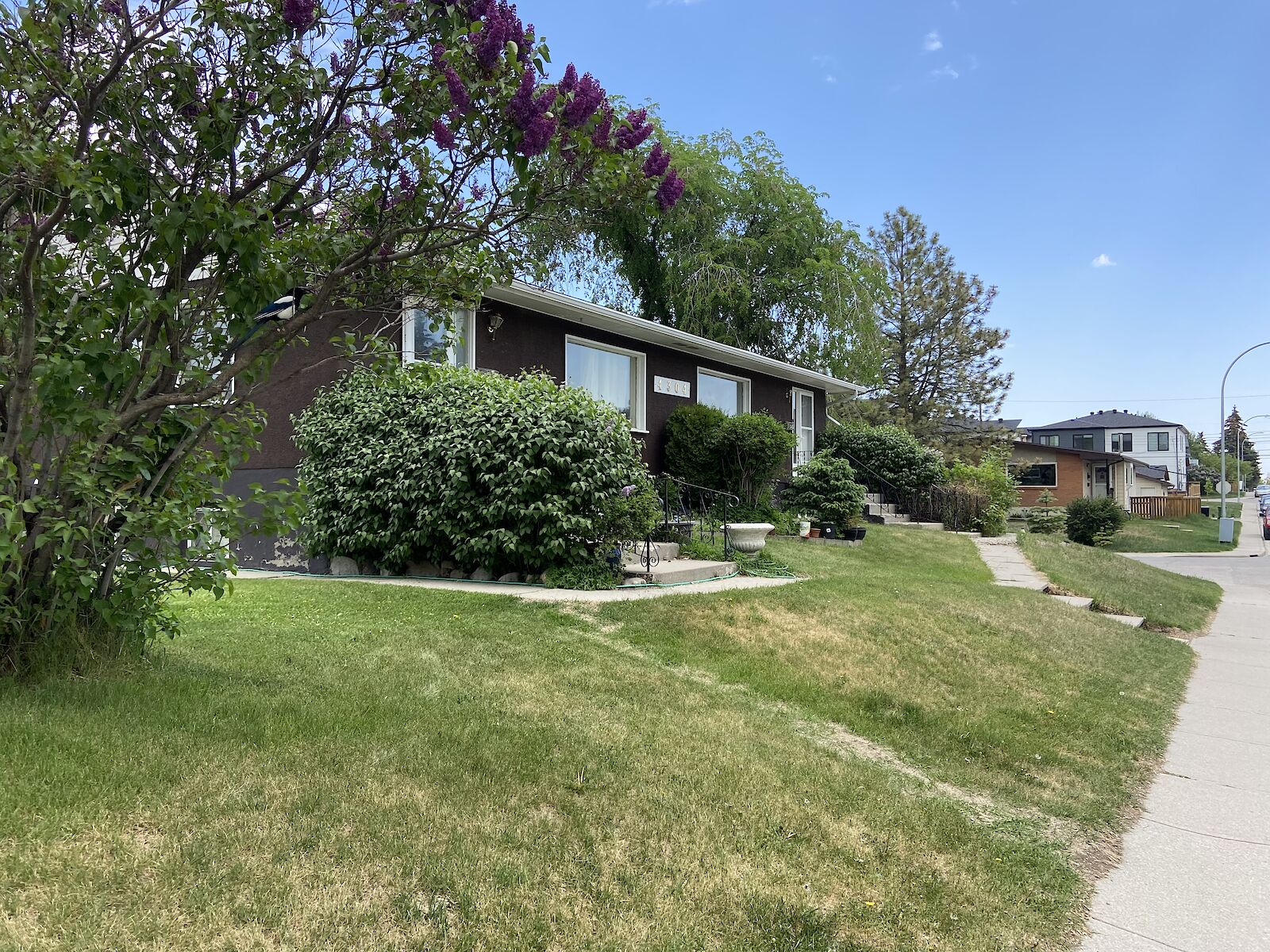 Calgary 2 bedrooms Basement for rent. Property photo: 564279-1