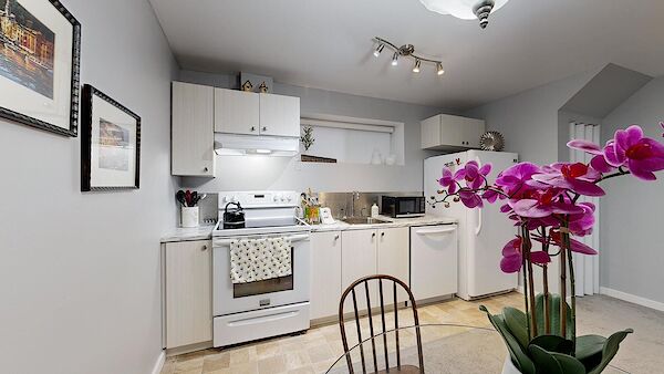 Edmonton 1 bedroom Basement for rent. Property photo: 565178-2
