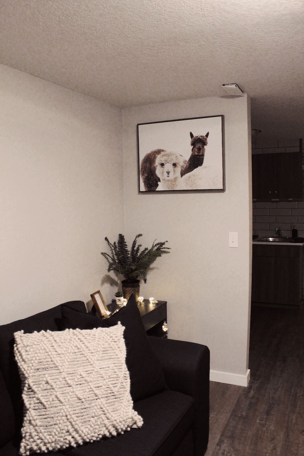 Calgary 1 bedroom Basement for rent. Property photo: 565882-1