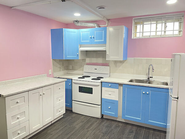 Edmonton 1 bedroom Basement for rent. Property photo: 566733-2