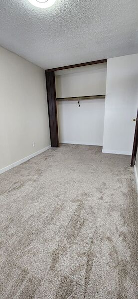 Edmonton 2 bedrooms Townhouse for rent. Property photo: 567007-3