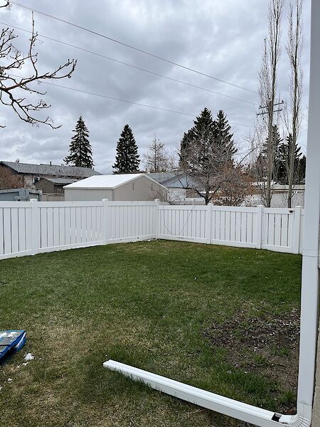 Shared+Back+Yard Calgary 2 bedrooms Basement for rent. Property photo: 567389-2