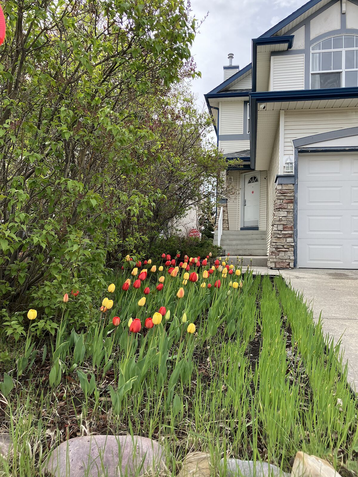 Calgary 3 bedrooms Room For Rent for rent. Property photo: 567667-1