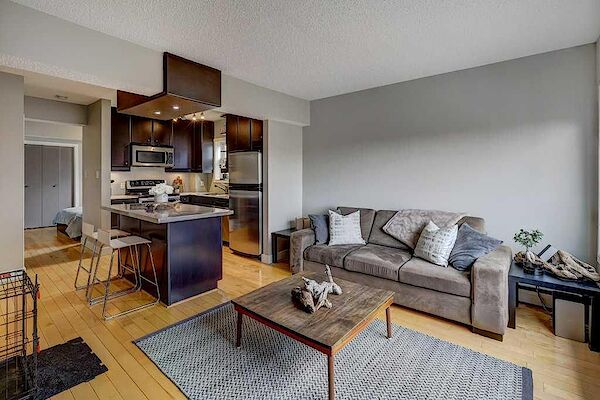 Calgary 1 bedroom Condo Unit for rent. Property photo: 568608-2