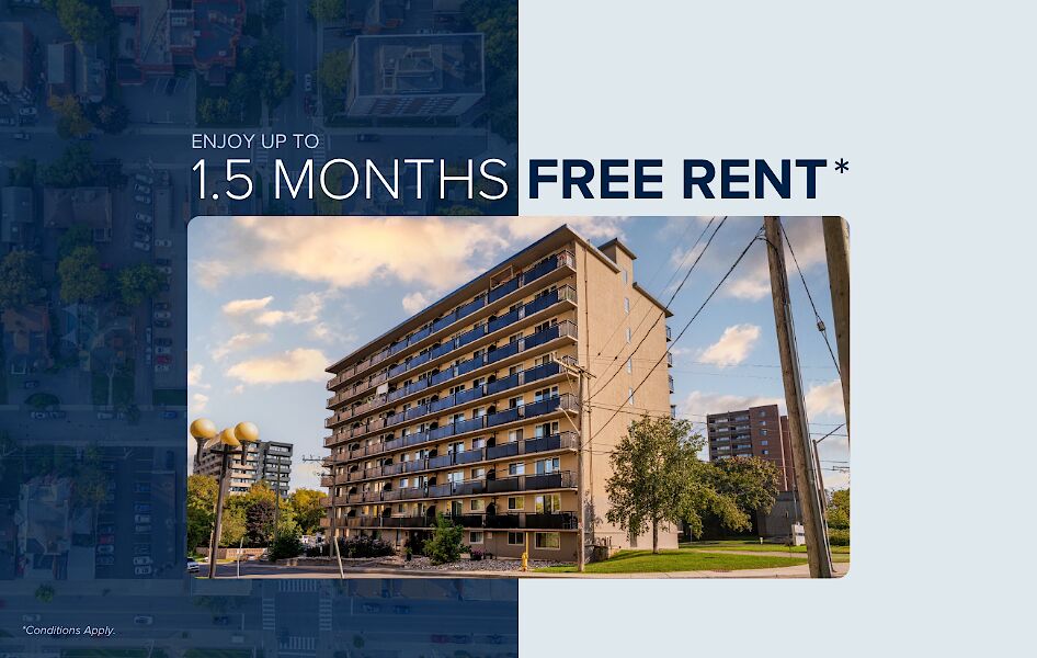 Ottawa 1 bedroom Apartment for rent. Property photo: 571582-1
