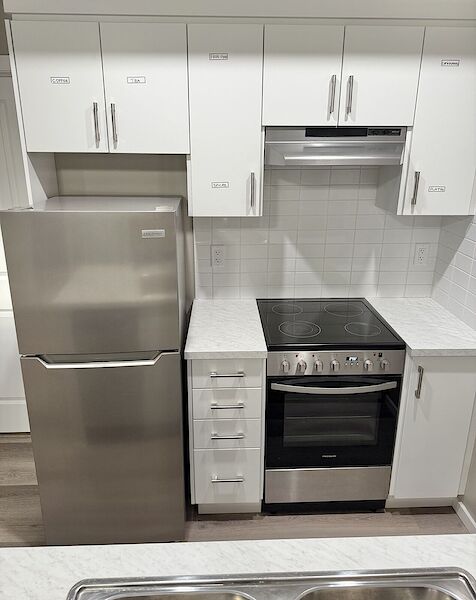 Edmonton 2 bedrooms Basement for rent. Property photo: 572309-2