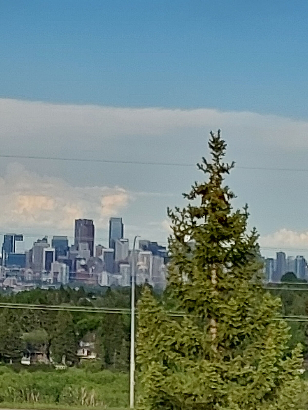 Calgary 1 bedroom Condo Unit for rent. Property photo: 573829-1