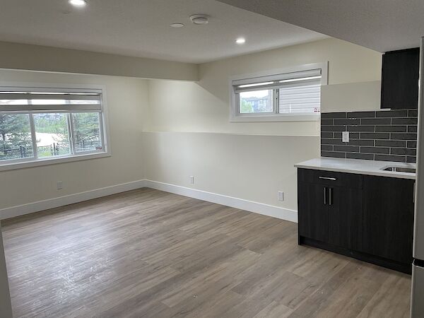Edmonton 2 bedrooms Basement for rent. Property photo: 575415-2