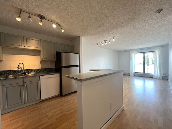 Calgary 1 bedroom Condo Unit for rent. Property photo: 576627-2