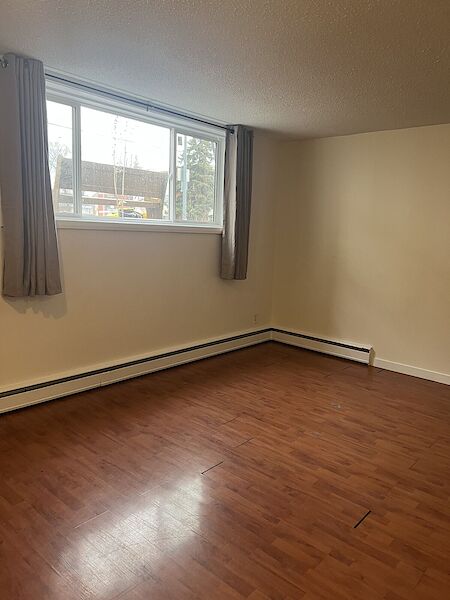 Edmonton 1 bedroom Basement for rent. Property photo: 578983-3