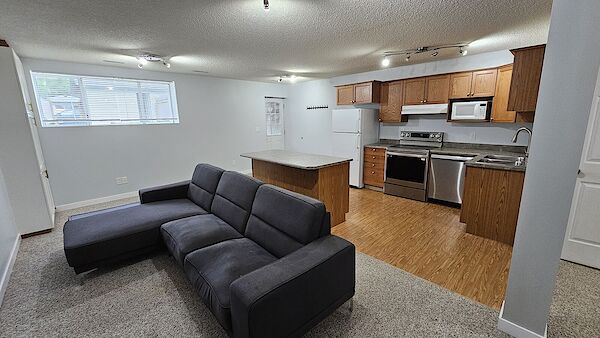 x Edmonton 3 bedrooms Basement for rent. Property photo: 579093-3