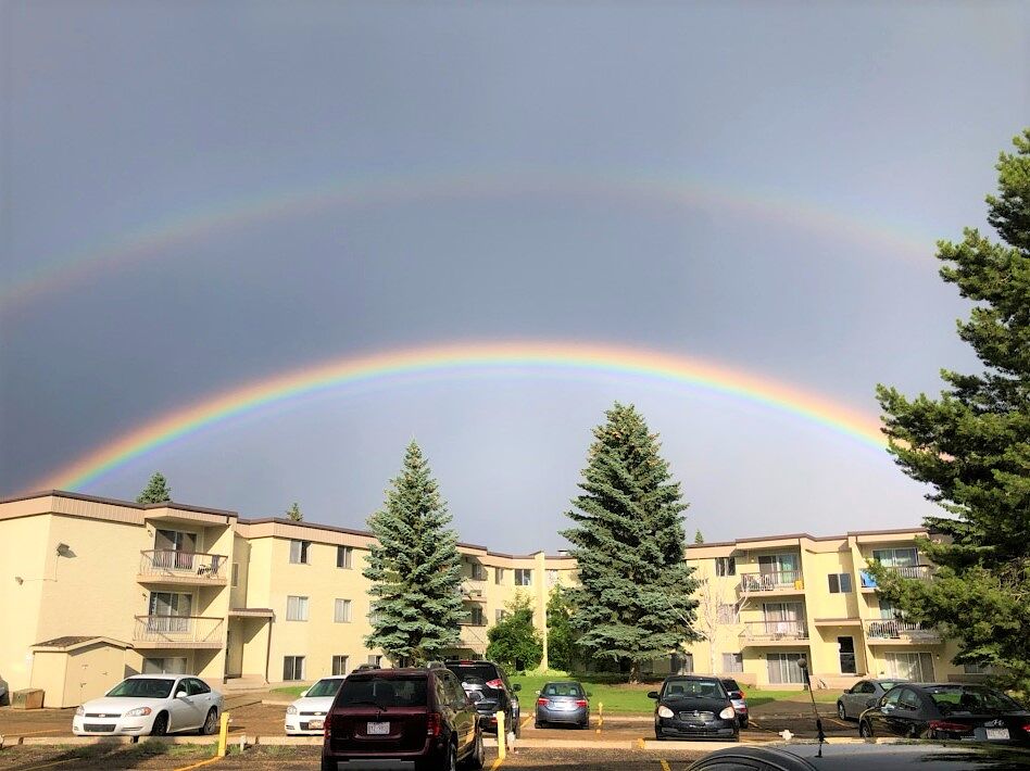 Edmonton 1 bedroom Apartment for rent. Property photo: 579411-1