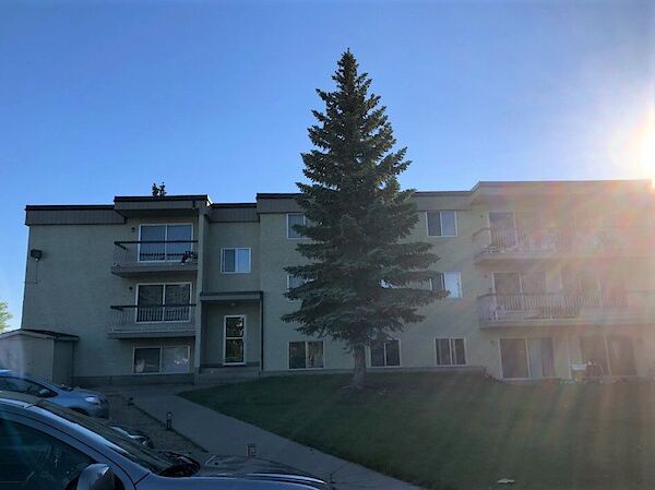 Edmonton 1 bedroom Apartment for rent. Property photo: 579411-2