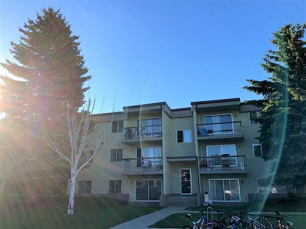Edmonton 1 bedroom Apartment for rent. Property photo: 579411-3
