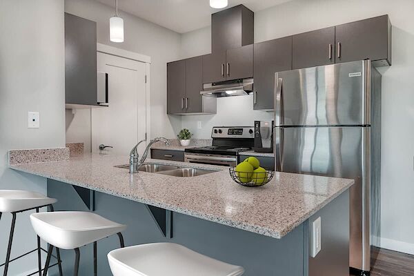 Edmonton 1 bedroom Condo Unit for rent. Property photo: 581538-3