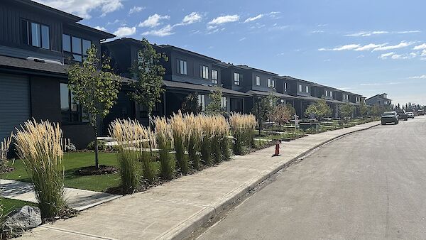 Fort Saskatchewan 1 bedroom Duplex for rent. Property photo: 584827-2