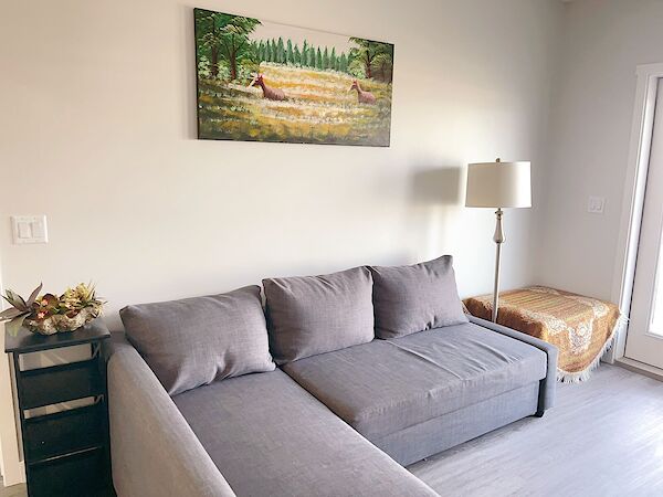 Edmonton 1 bedroom Basement for rent. Property photo: 586667-3
