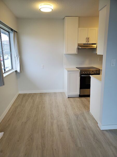 Vancouver 1 bedroom Apartment for rent. Property photo: 590441-2