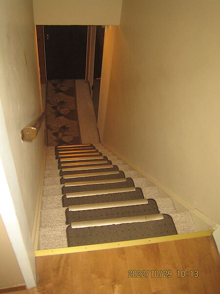 Edmonton studio Basement for rent. Property photo: 596873-2