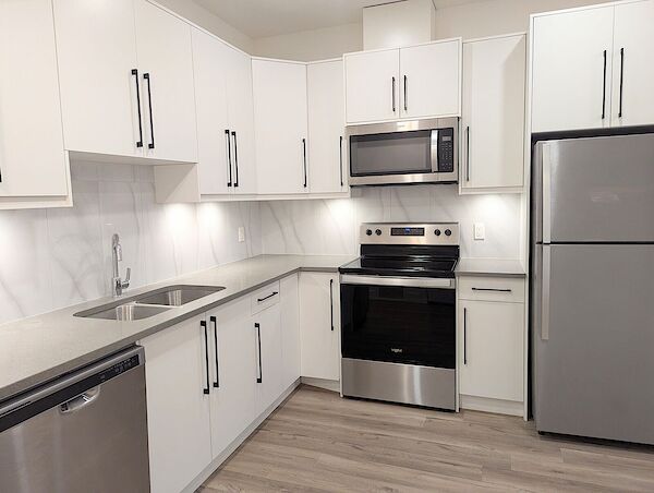 Calgary 2 bedrooms Basement for rent. Property photo: 598949-3