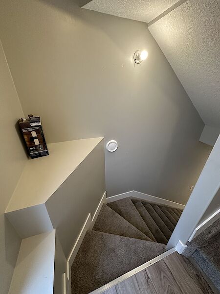 Leduc 1 bedroom Basement for rent. Property photo: 600891-3