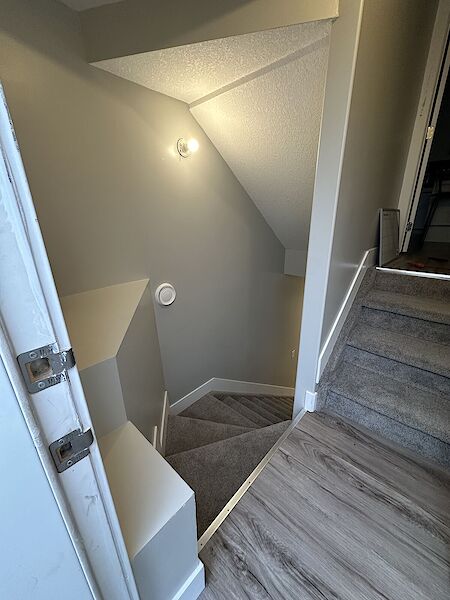 Leduc 1 bedroom Basement for rent. Property photo: 600891-2