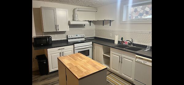 Edmonton 2 bedrooms Basement for rent. Property photo: 601194-2