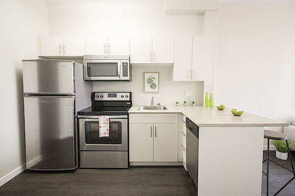 Winnipeg 2 bedrooms Apartment for rent. Property photo: 607142-3