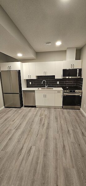 Leduc 1 bedroom Basement for rent. Property photo: 608071-3