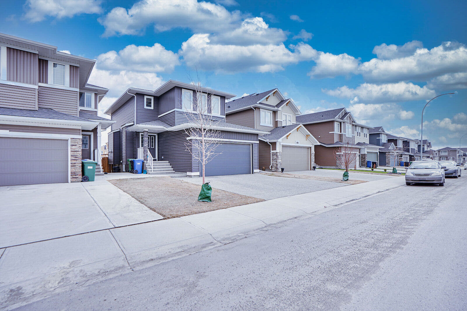 Calgary 3 + Den bedrooms House for rent. Property photo: 608170-1